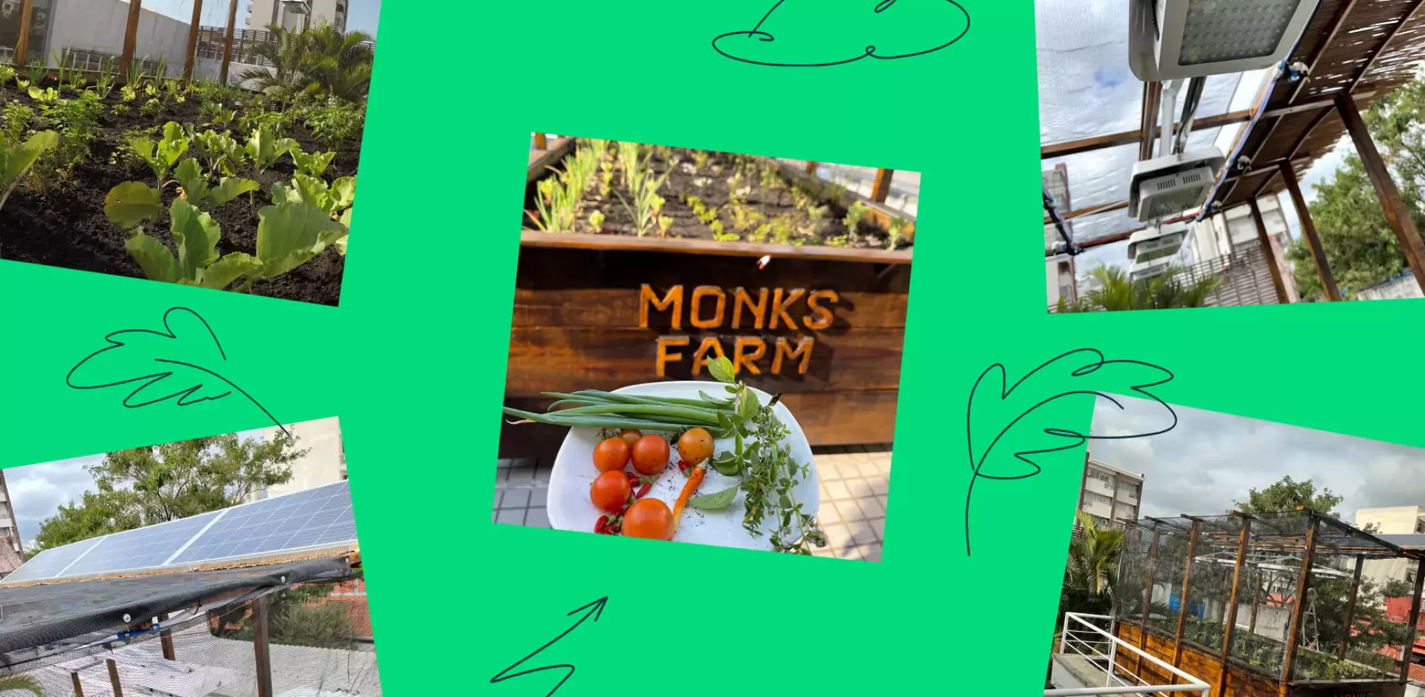 MonksFarm at Media.Monks