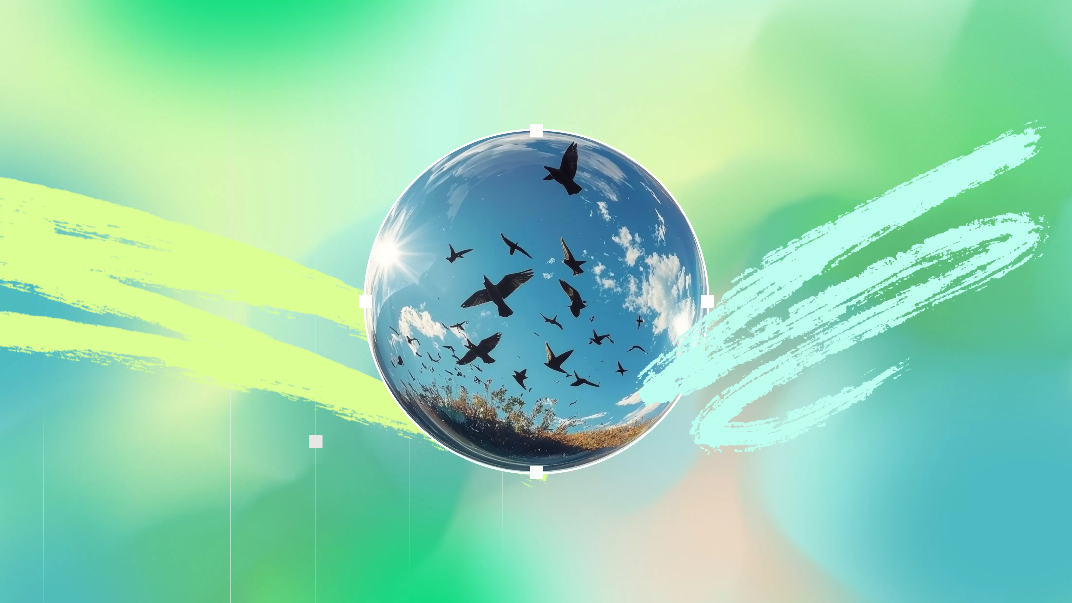 Our Responsibility to the World