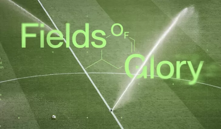fields of glory