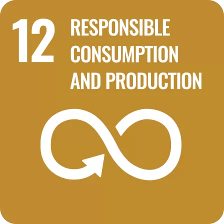 12. Responsible consumption & production